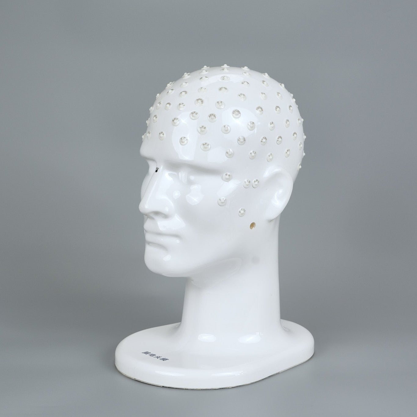 Teaching Head Mold