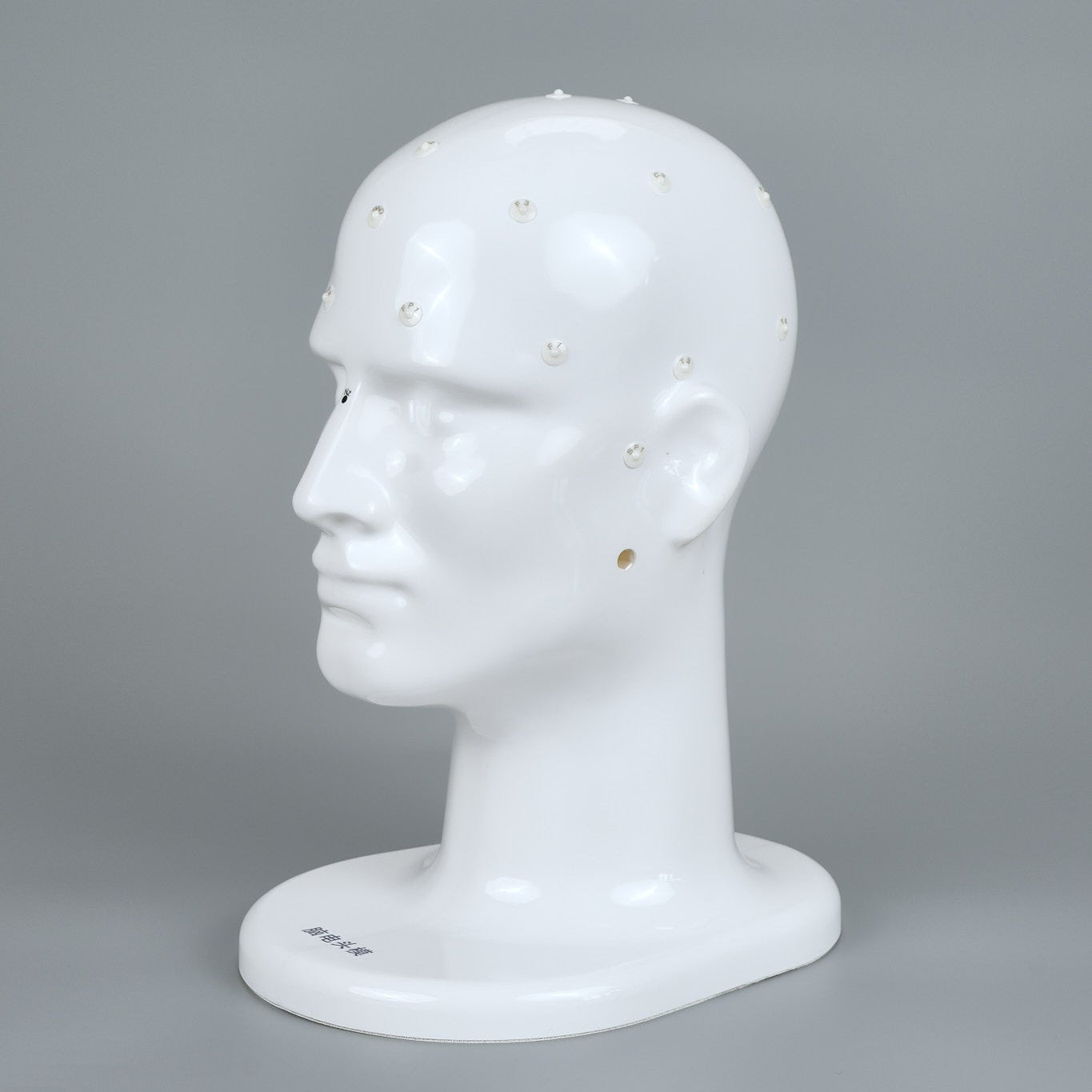 Teaching Head Mold