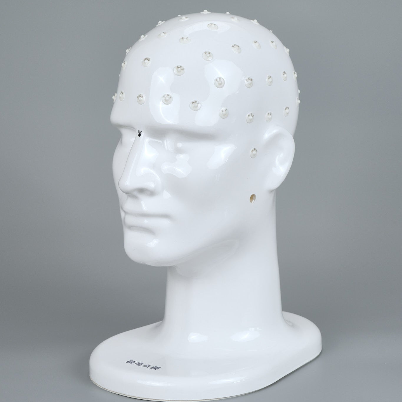 Teaching Head Mold