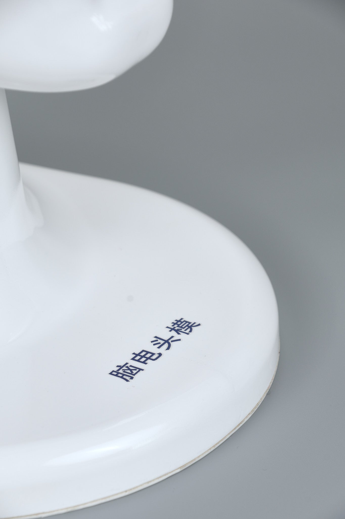 Teaching Head Mold