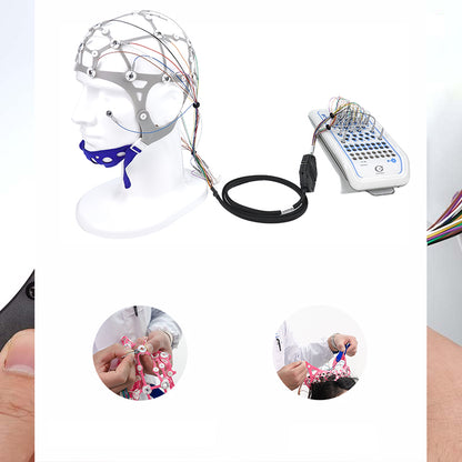 Electrode harness, adapter cable